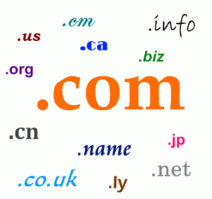 Domain Name Acquisitions
